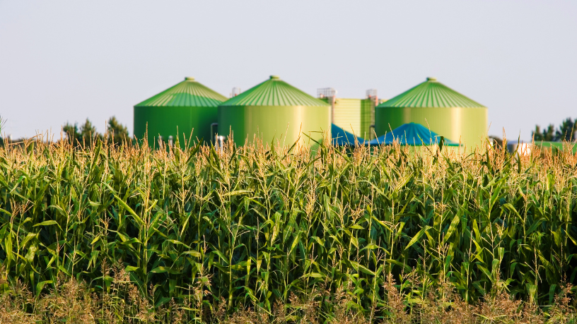 Inovação verde em destaque: Versa Engenharia Ambiental Ltda aproveita o biogás de aterros para gerar energia e reduzir impactos ambientais.