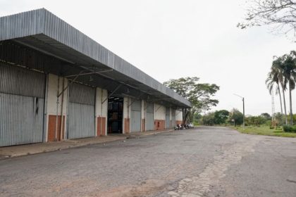 Família Shih
